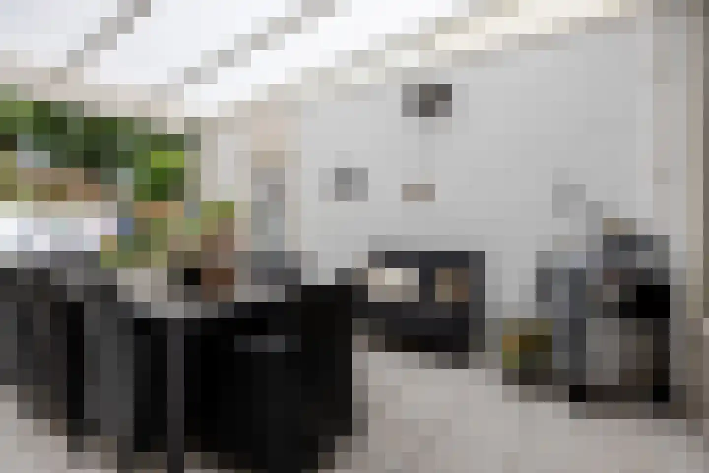 Mauritslaan 20 Best thumbnail 34