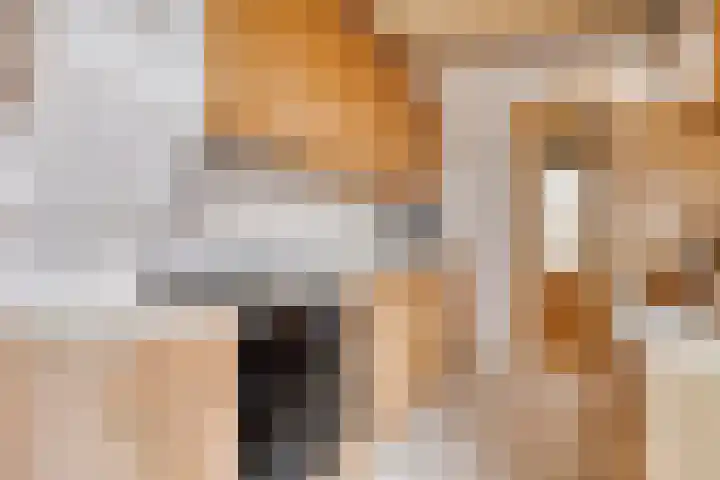 Mauritslaan 22 Hulst thumbnail 10