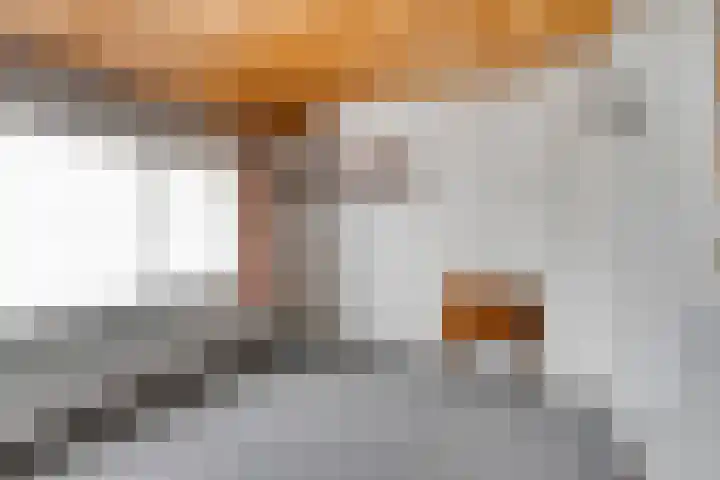Mauritslaan 22 Hulst thumbnail 16