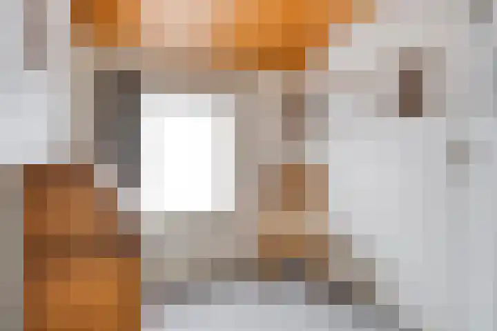 Mauritslaan 22 Hulst thumbnail 18