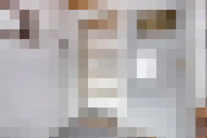 Mauritslaan 22 Hulst thumbnail 19