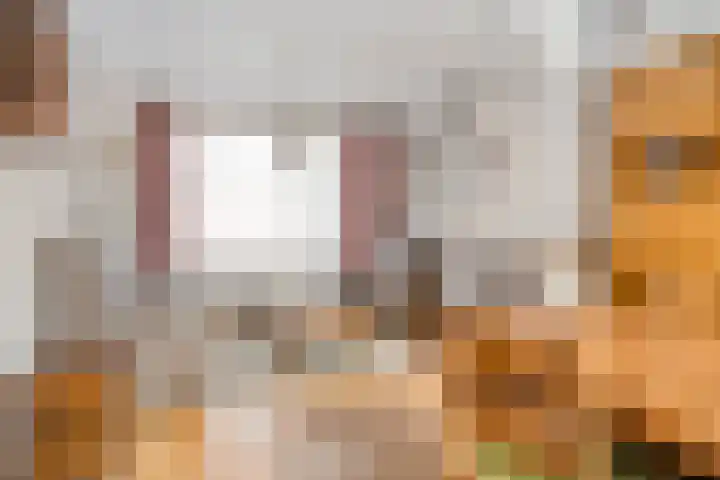 Mauritslaan 22 Hulst thumbnail 8