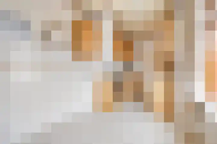 Mauritslaan 22 Hulst thumbnail 9