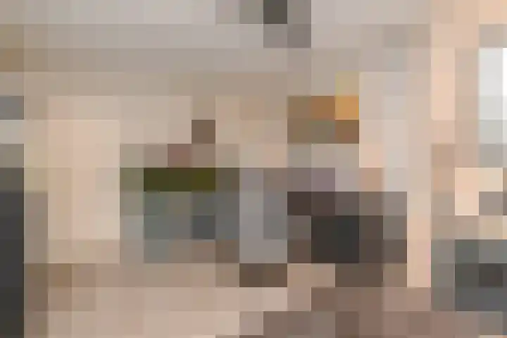 Mauritslaan 22 Waddinxveen thumbnail 14