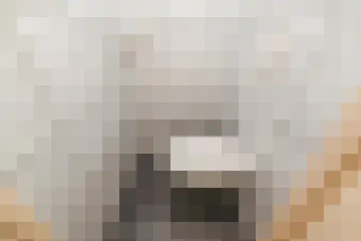 Mauritslaan 22 Waddinxveen thumbnail 18