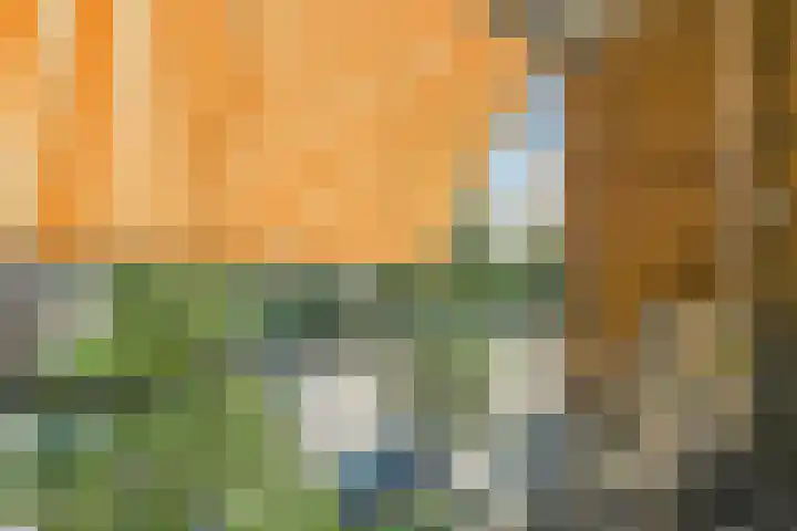 Mauritslaan 22 Waddinxveen thumbnail 30