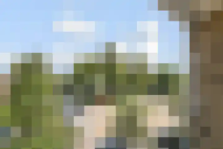 Mauritslaan 22 Waddinxveen thumbnail 31
