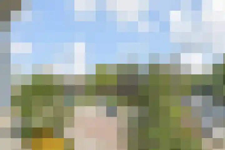 Mauritslaan 22 Waddinxveen thumbnail 32