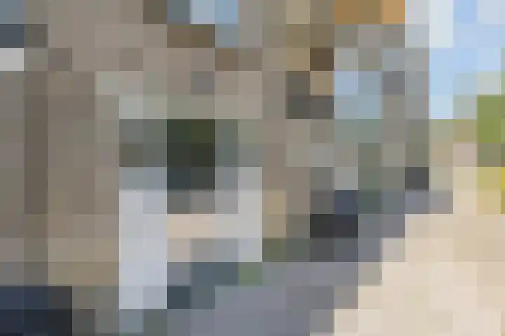 Mauritslaan 22 Waddinxveen thumbnail 5