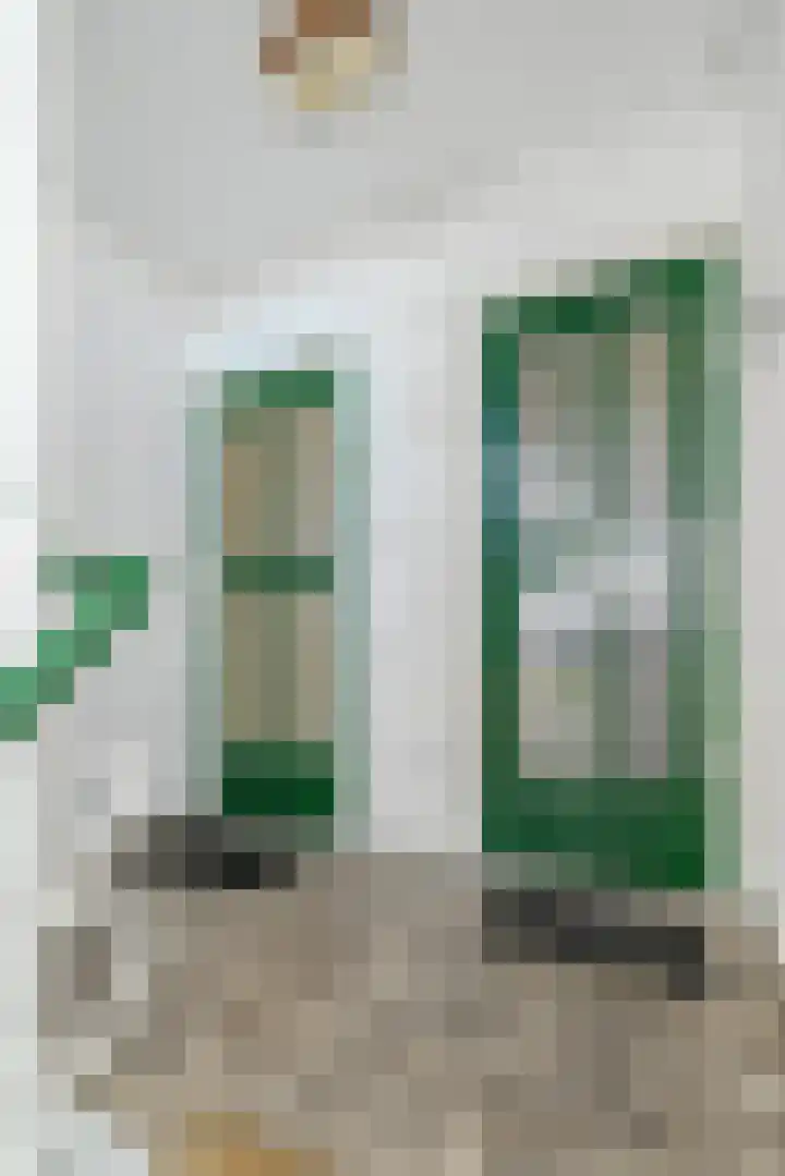 Mauritslaan 22 Waddinxveen thumbnail 7