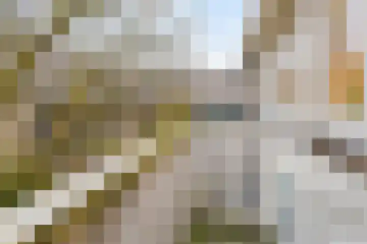Mauritslaan 23 Geleen thumbnail 36
