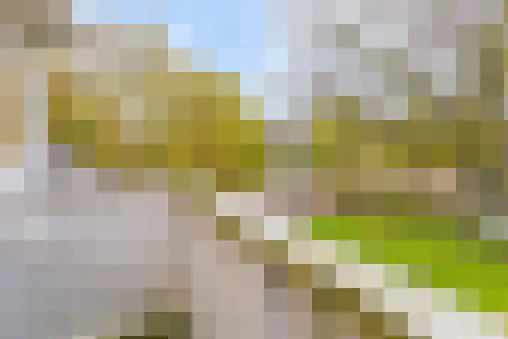 Mauritslaan 23 Geleen thumbnail 37