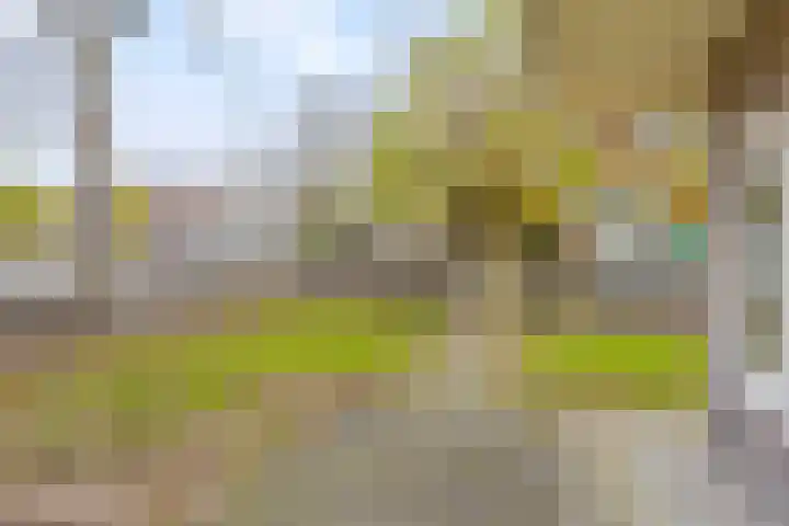 Mauritslaan 23 Geleen thumbnail 38