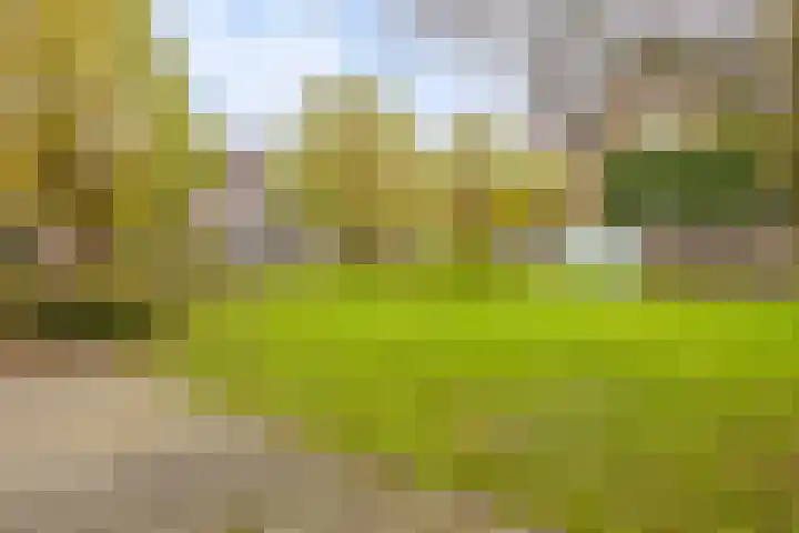 Mauritslaan 23 Geleen thumbnail 41