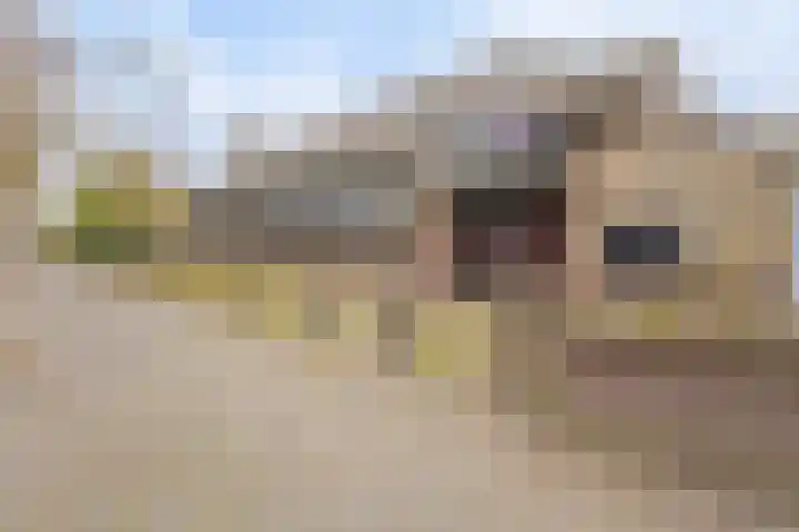 Mauritslaan 23 Geleen thumbnail 47