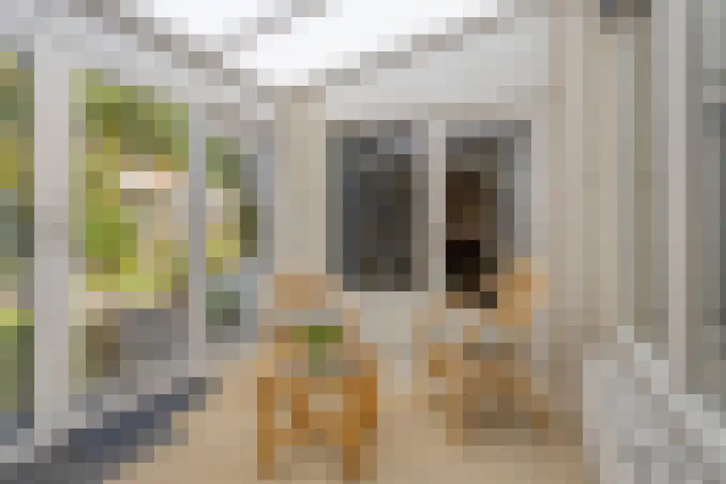 Mauritslaan 24 Best thumbnail 22