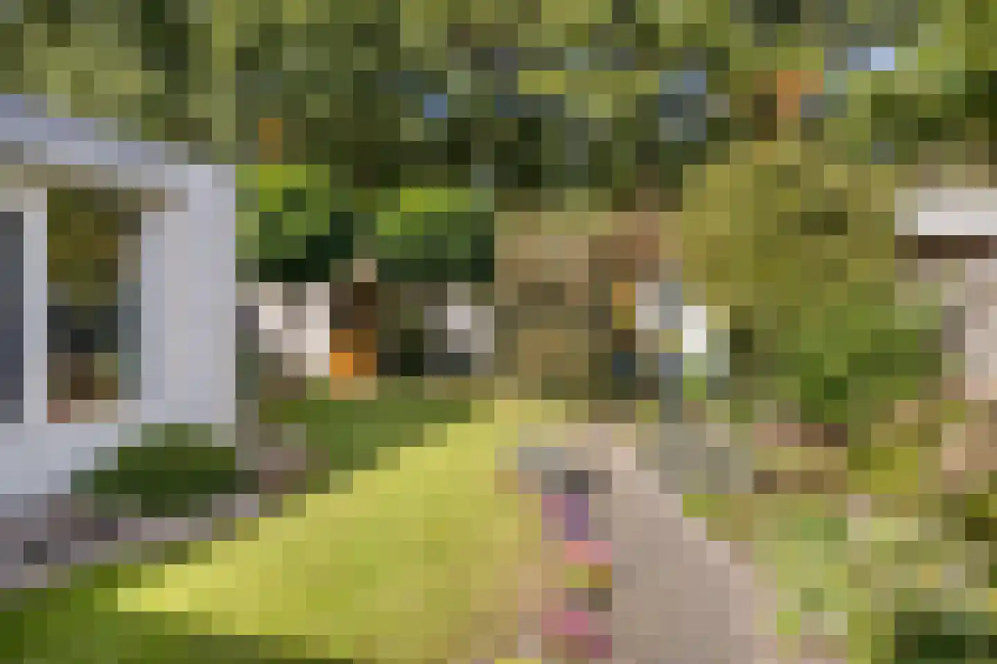 Mauritslaan 24 Best thumbnail 36
