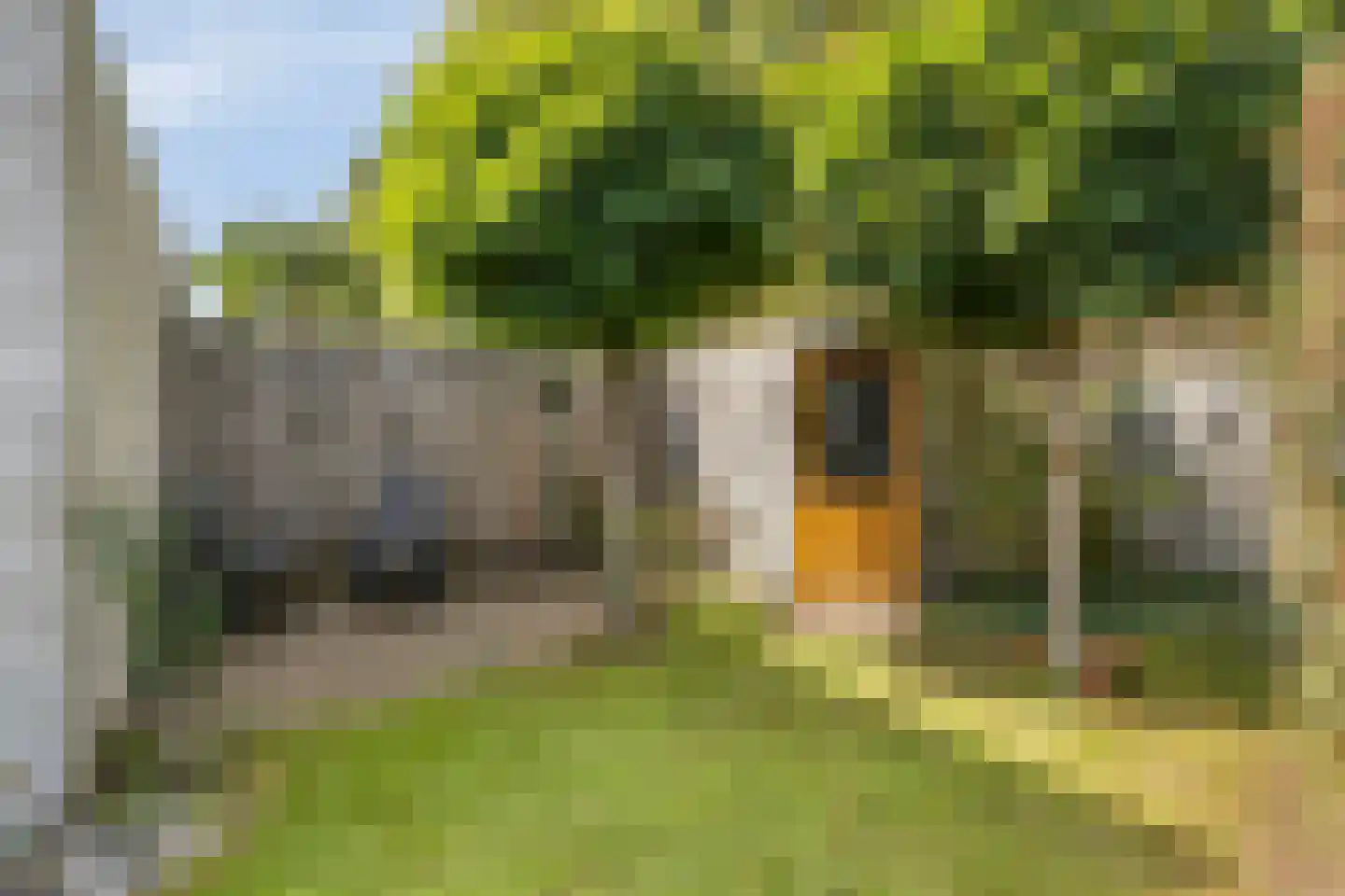 Mauritslaan 24 Best thumbnail 37
