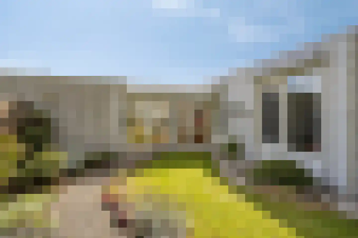 Mauritslaan 24 Best thumbnail 38