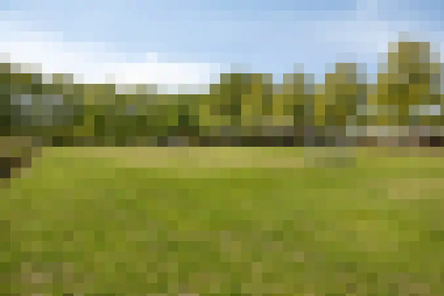 Mauritslaan 24 Best thumbnail 46