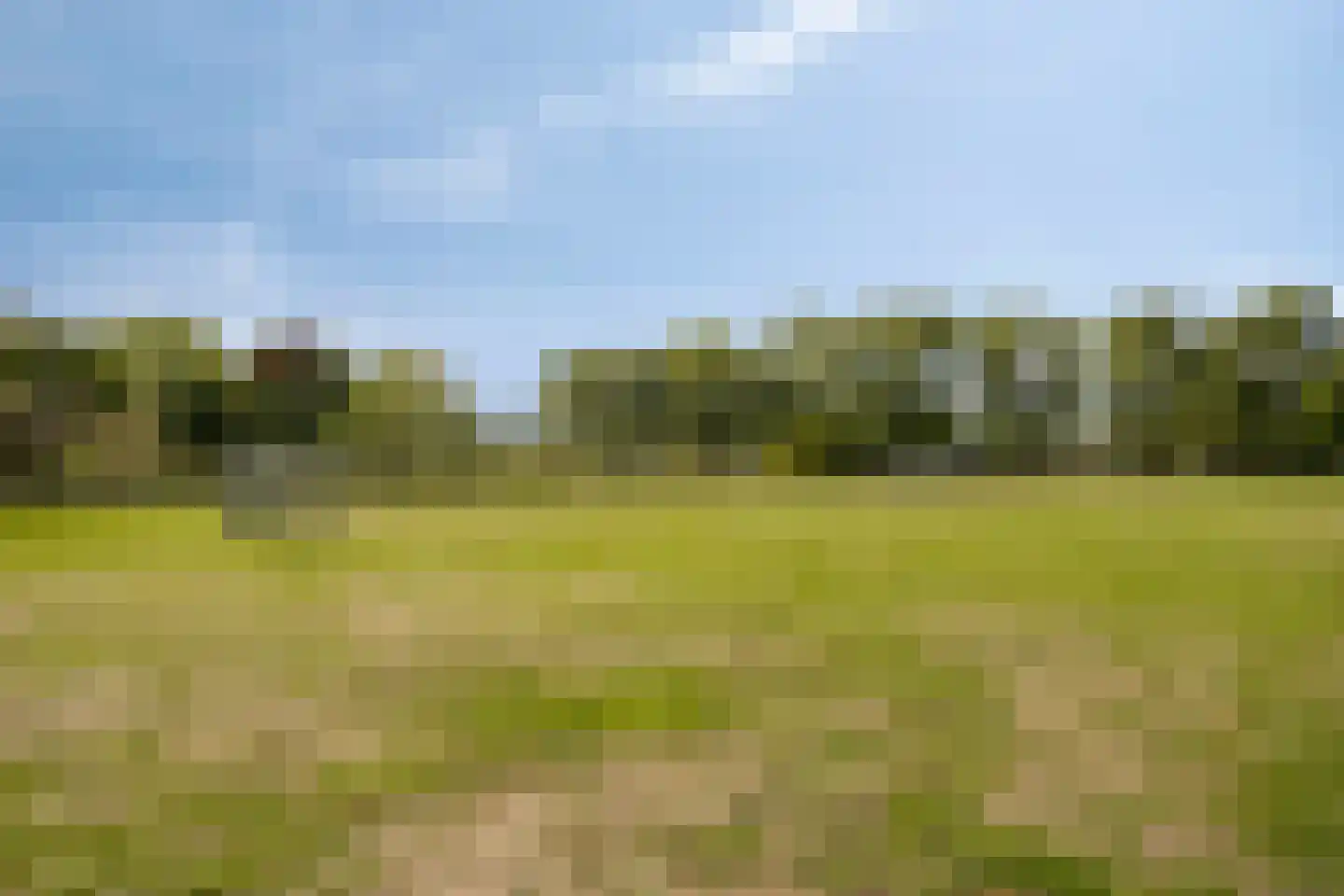Mauritslaan 24 Best thumbnail 47