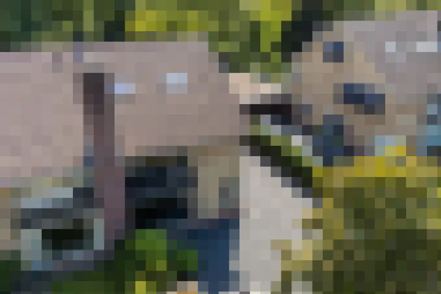 Mauritslaan 3 B De Meern thumbnail 88