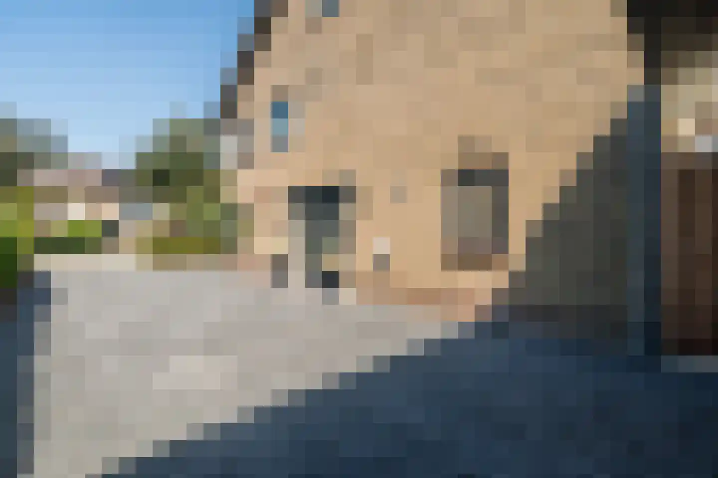 Mauritslaan 3 B De Meern thumbnail 9