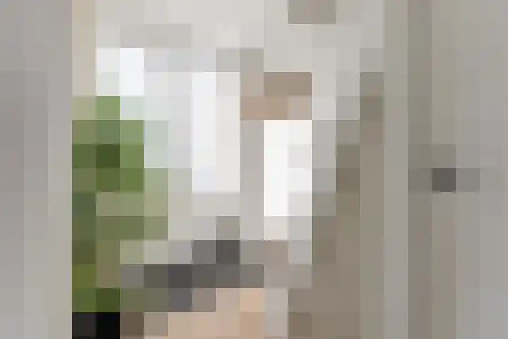 Mauritslaan 3 Waddinxveen thumbnail 16