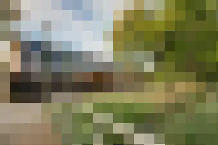 Mauritslaan 3 Waddinxveen thumbnail 36