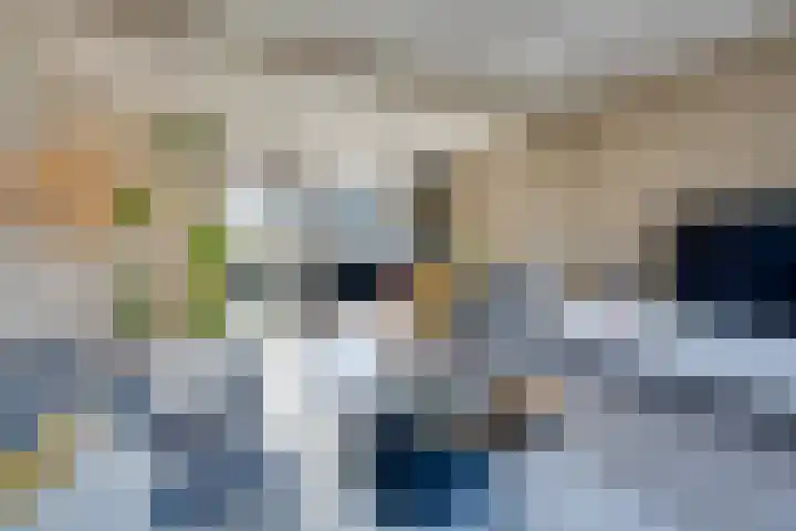Mauritslaan 34 Hillegom thumbnail 13