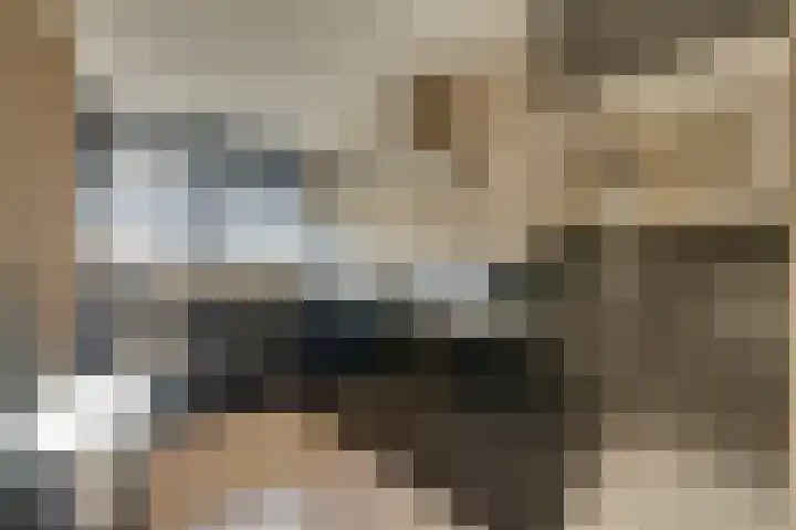 Mauritslaan 34 Hillegom thumbnail 15
