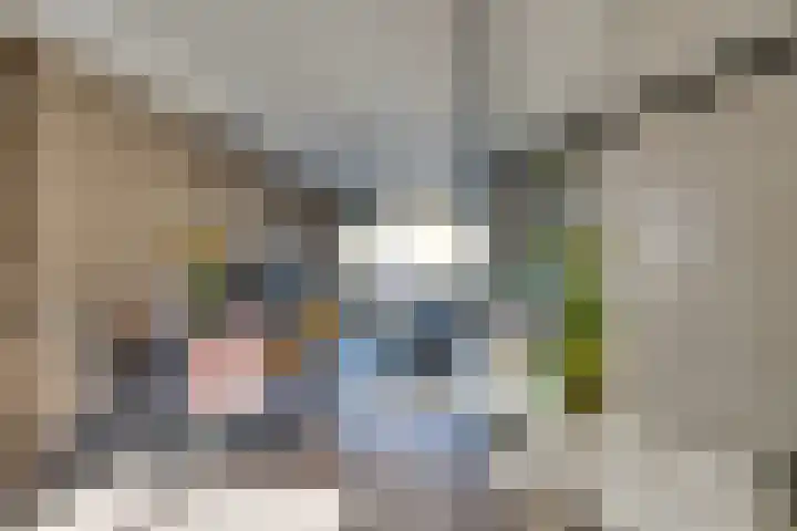 Mauritslaan 34 Hillegom thumbnail 8
