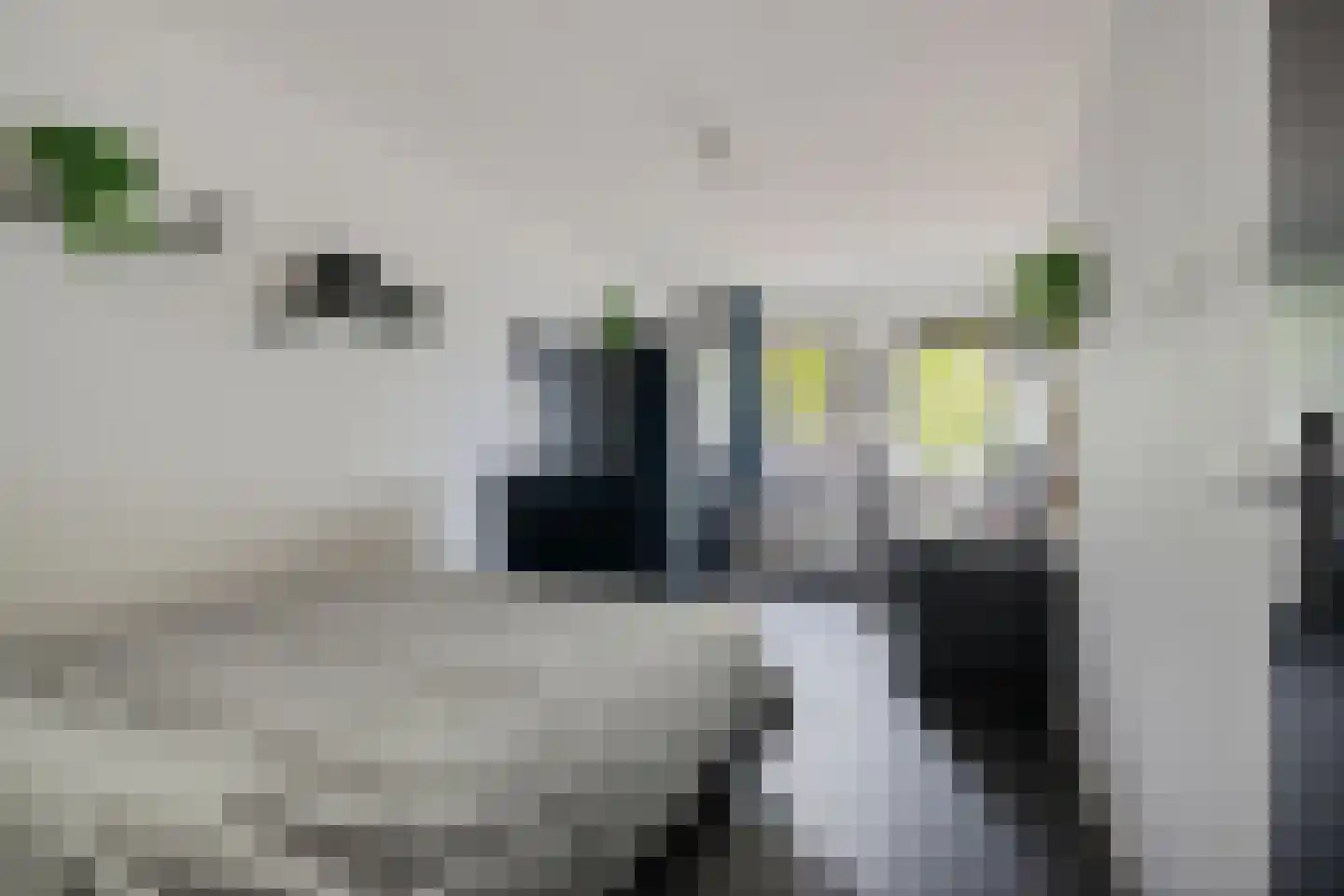 Mauritslaan 4 Heerenveen thumbnail 21