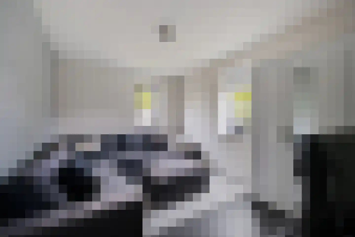 Mauritslaan 4 Heerenveen thumbnail 23
