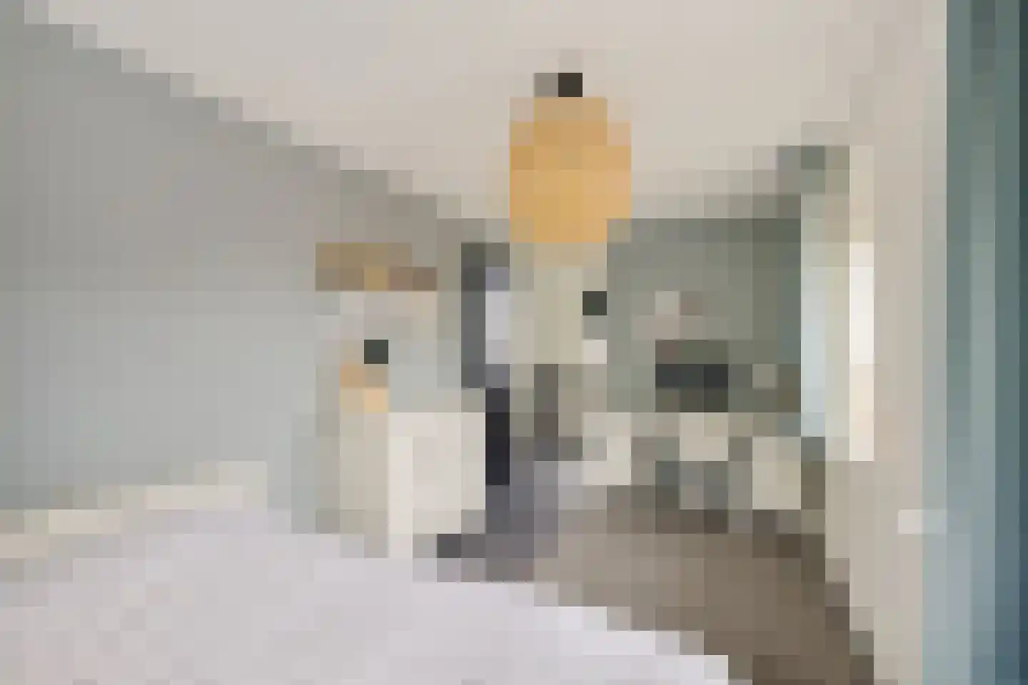 Mauritslaan 4 Heerenveen thumbnail 32