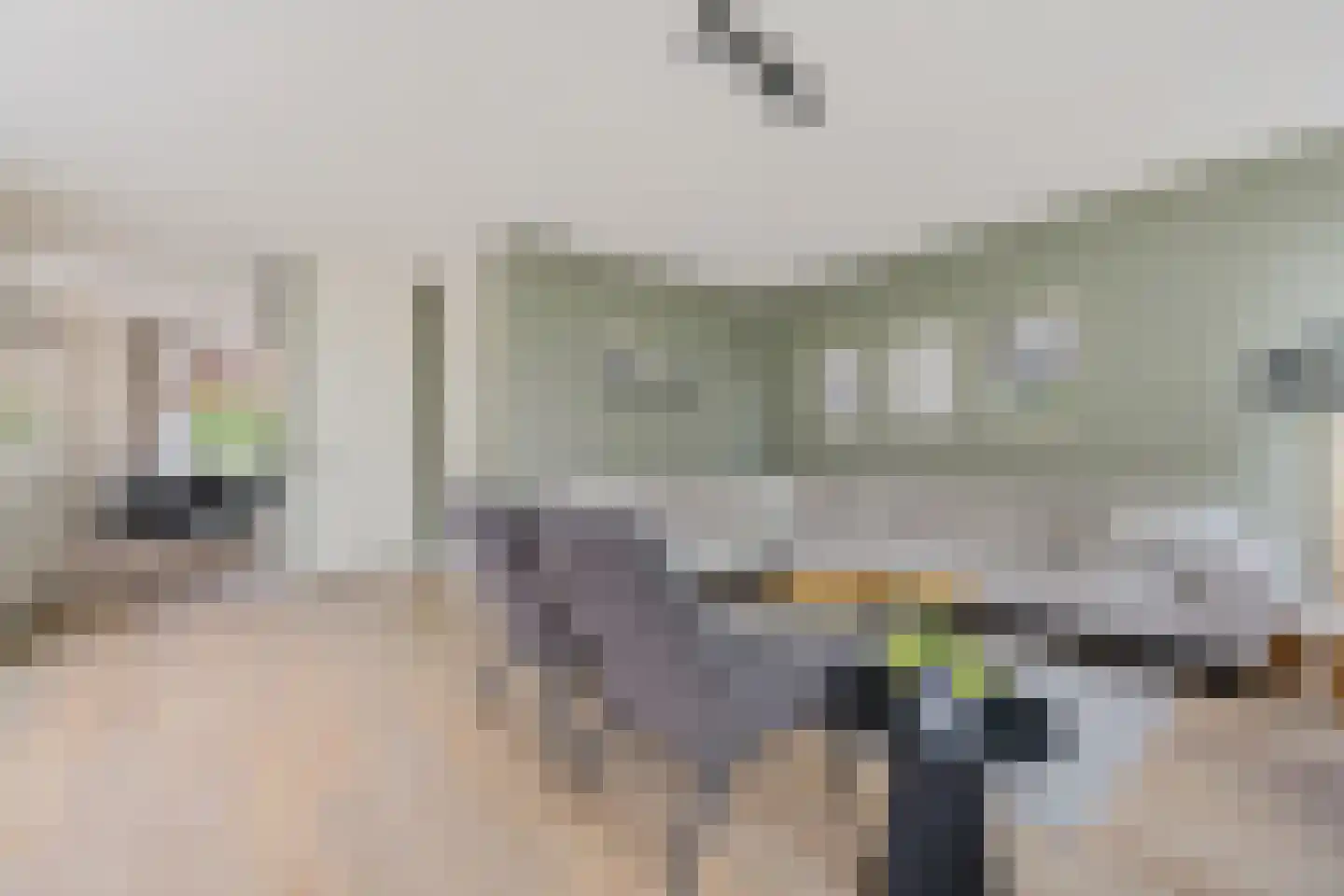 Mauritslaan 4 Heerenveen thumbnail 4