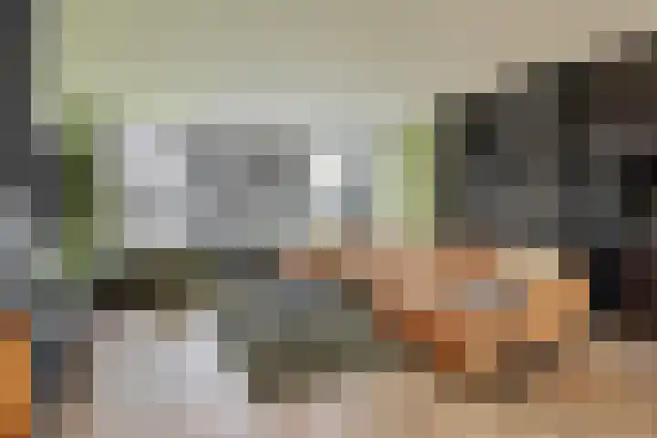 Mauritslaan 42 Best thumbnail 13