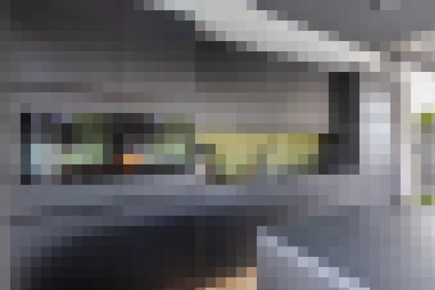 Mauritslaan 42 Best thumbnail 21