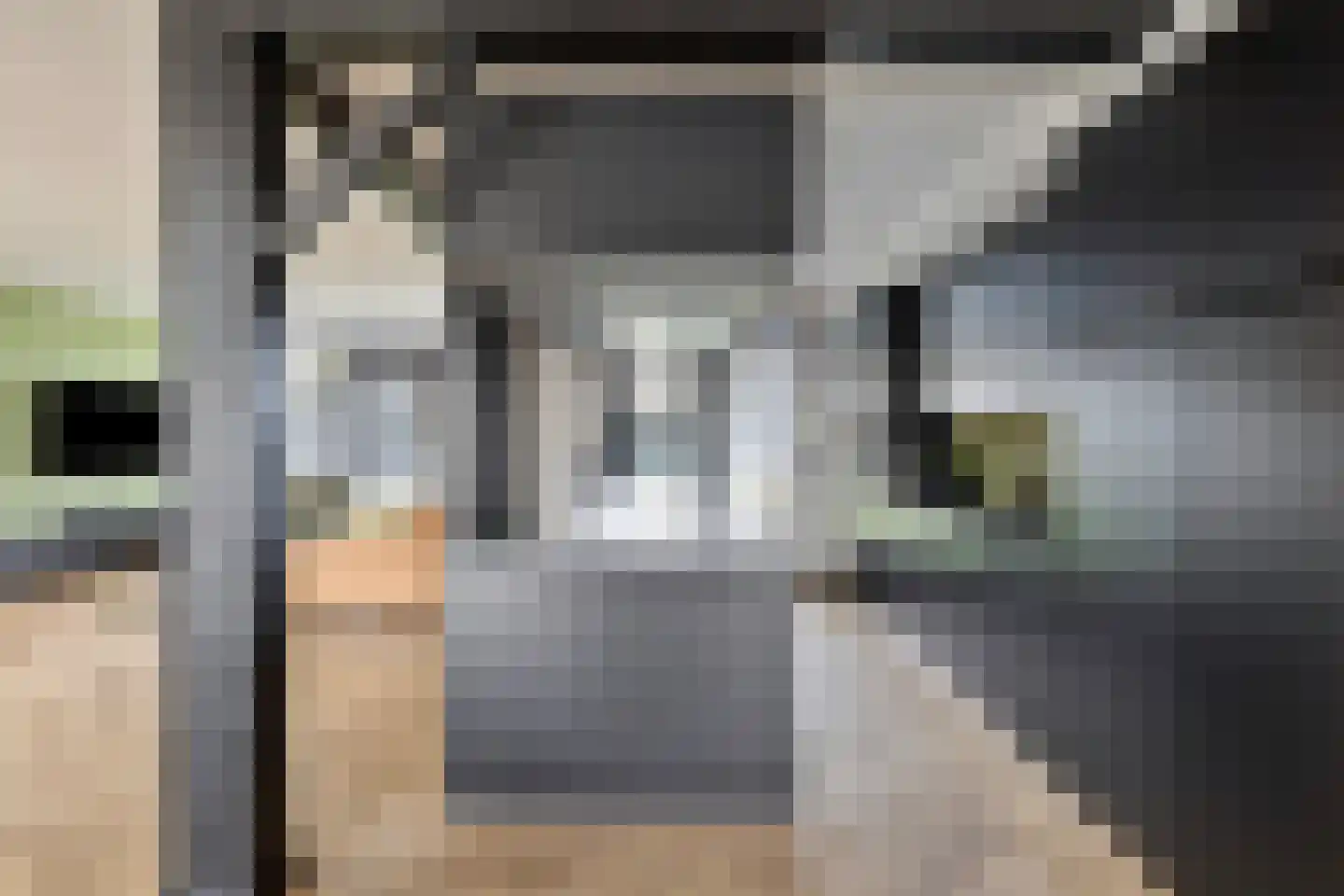 Mauritslaan 42 Best thumbnail 22
