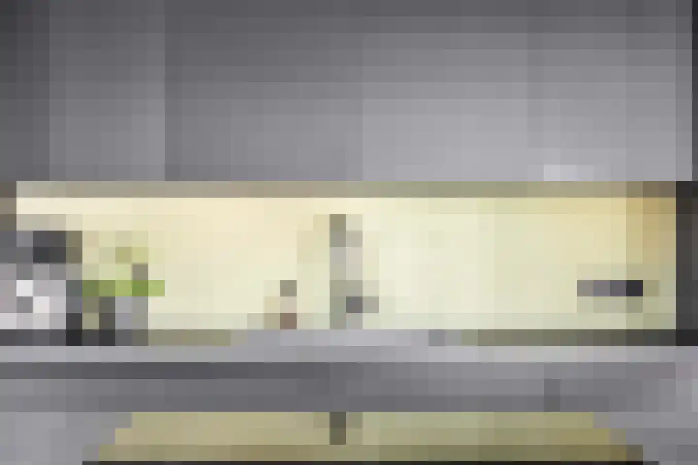 Mauritslaan 42 Best thumbnail 23