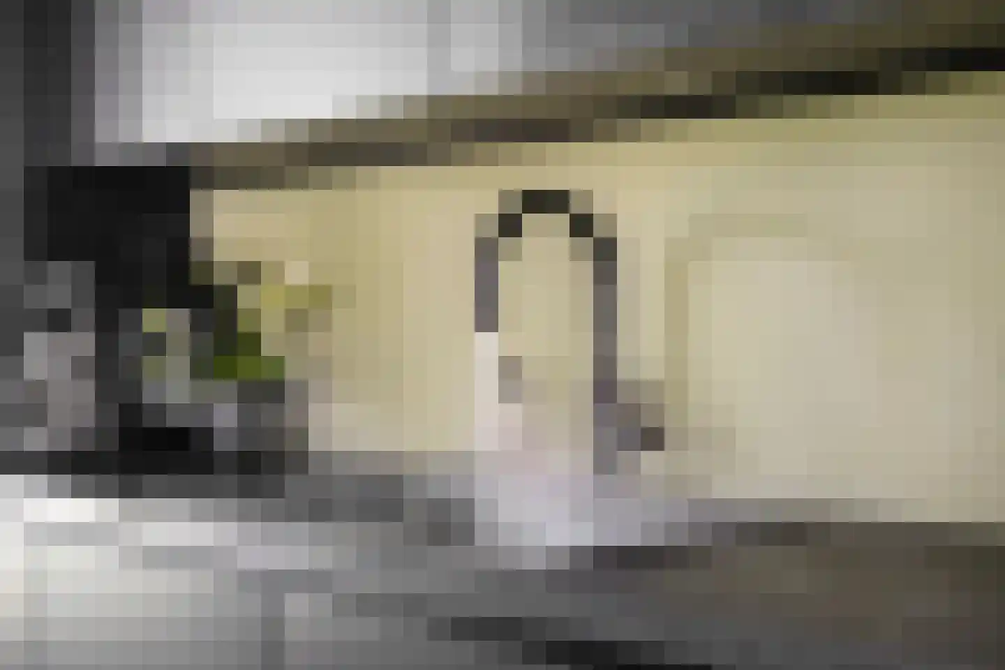 Mauritslaan 42 Best thumbnail 24
