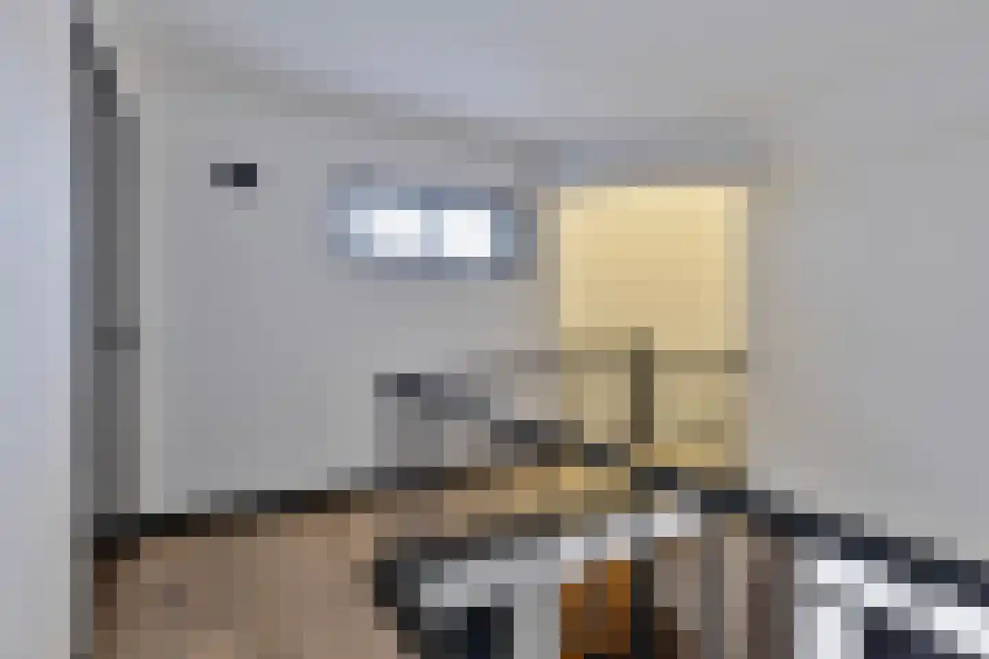 Mauritslaan 42 Best thumbnail 38
