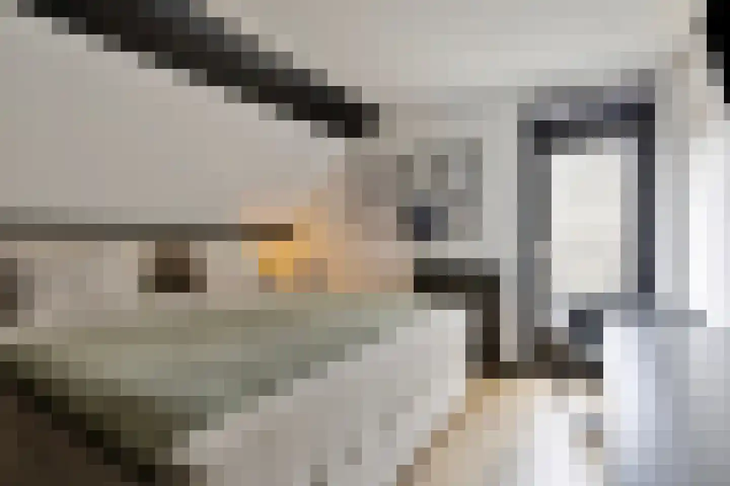 Mauritslaan 42 Best thumbnail 39