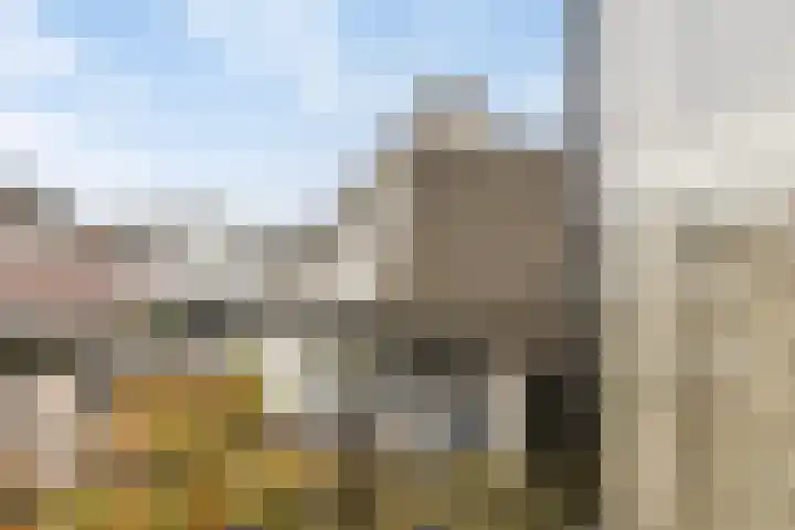 Mauritslaan 42 Best thumbnail 41