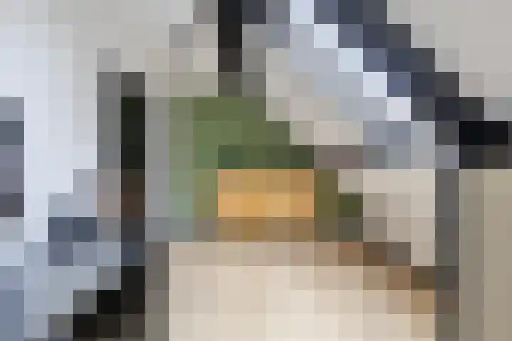 Mauritslaan 42 Best thumbnail 45