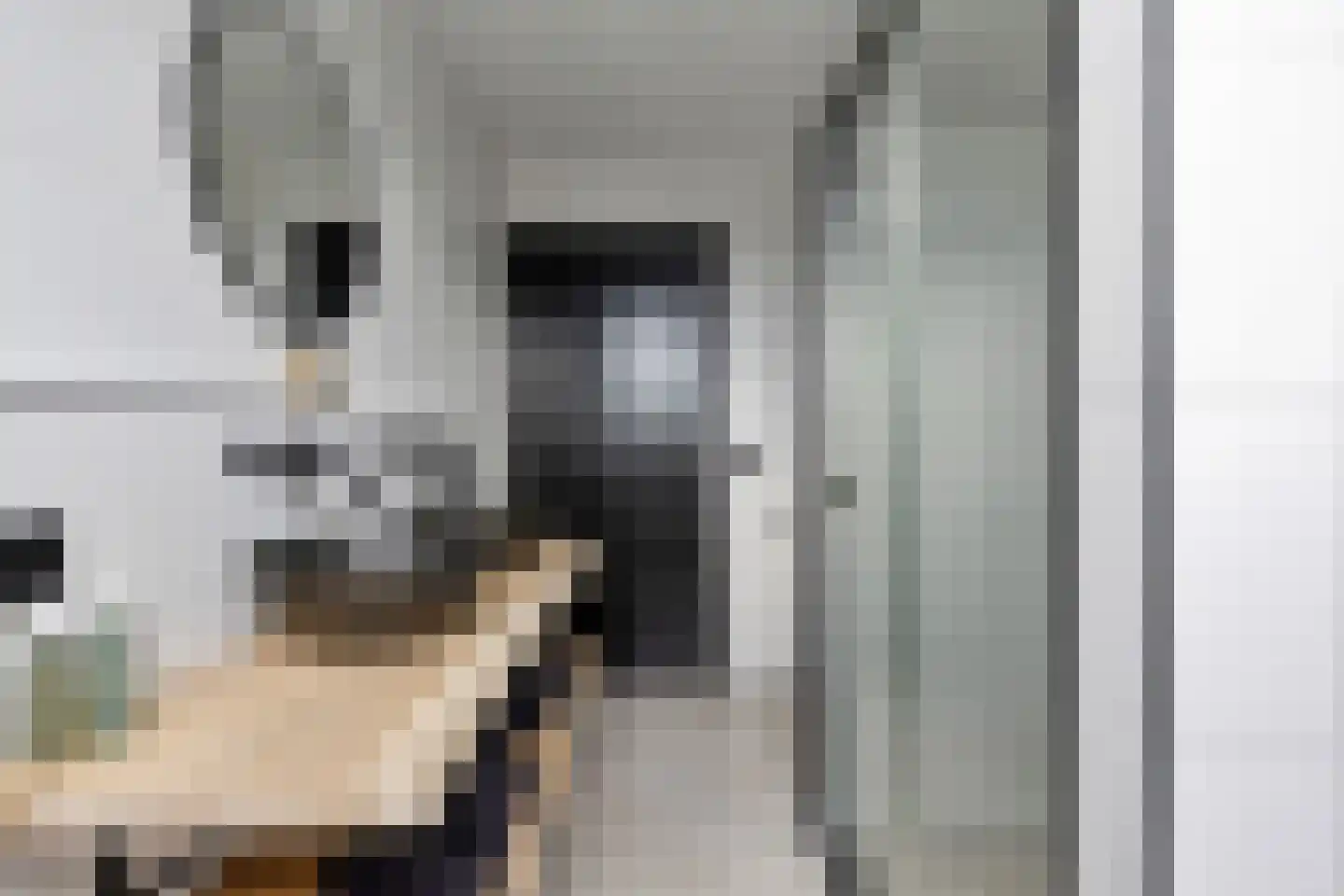 Mauritslaan 42 Best thumbnail 47