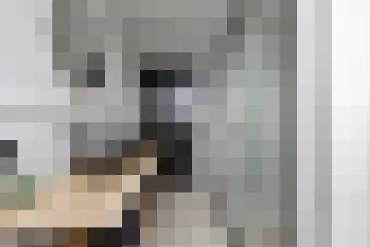 Mauritslaan 42 Best thumbnail 47