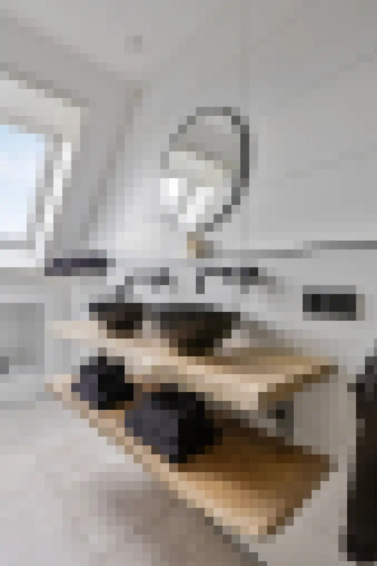 Mauritslaan 42 Best thumbnail 49