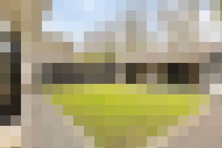 Mauritslaan 42 Best thumbnail 51