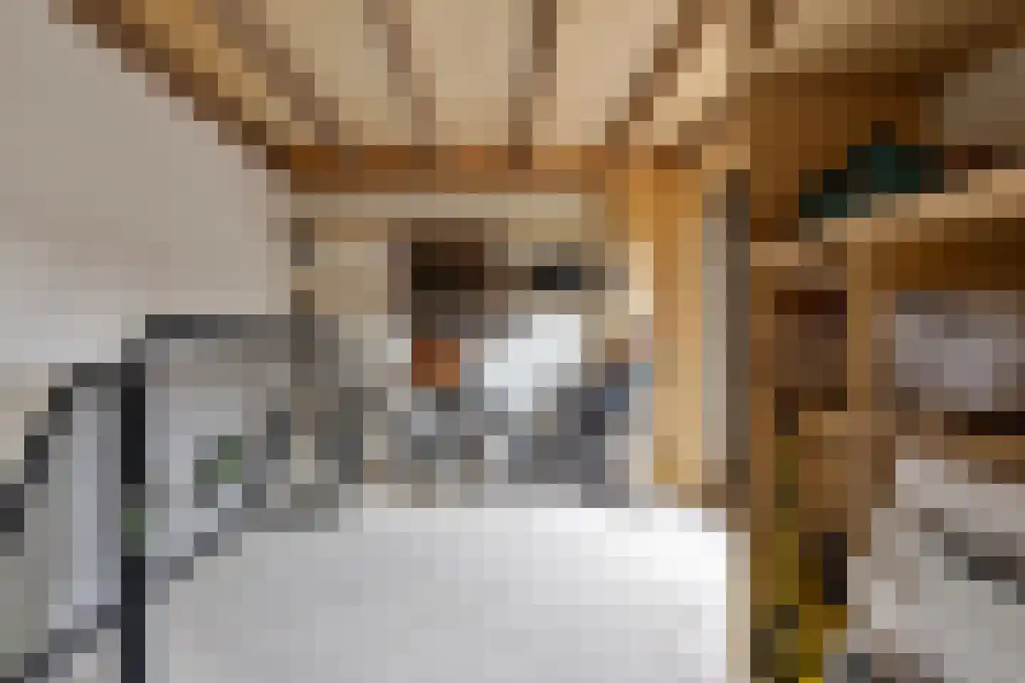 Mauritslaan 42 Best thumbnail 58